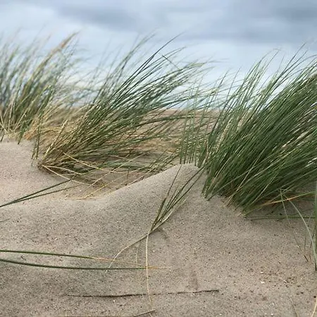 8 * Norderney